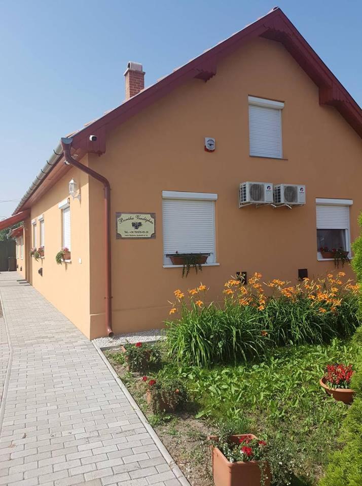 Boróka Vendégház Túrkeve Extérieur photo
